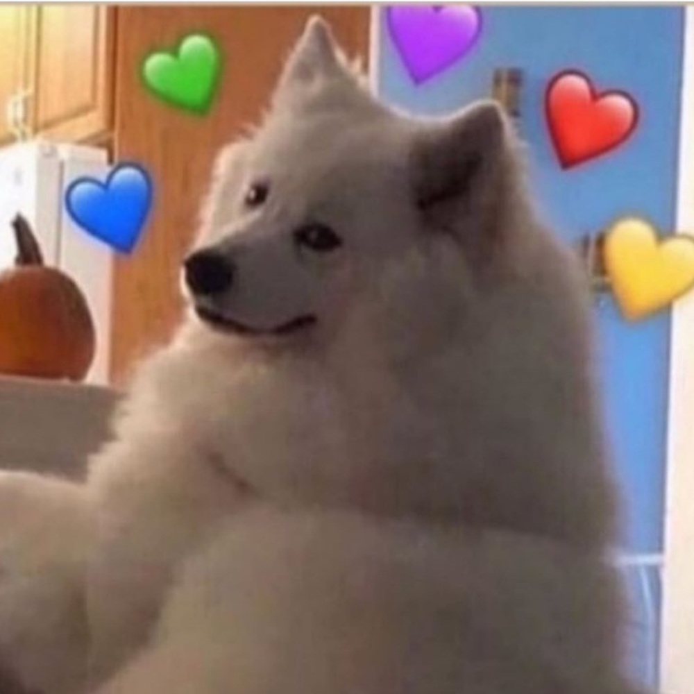 Meet your Posher, Aly